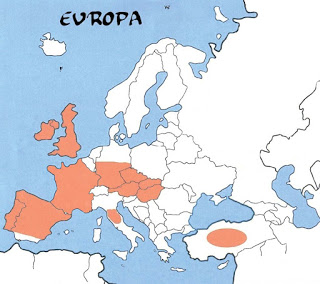 Evropa keltové